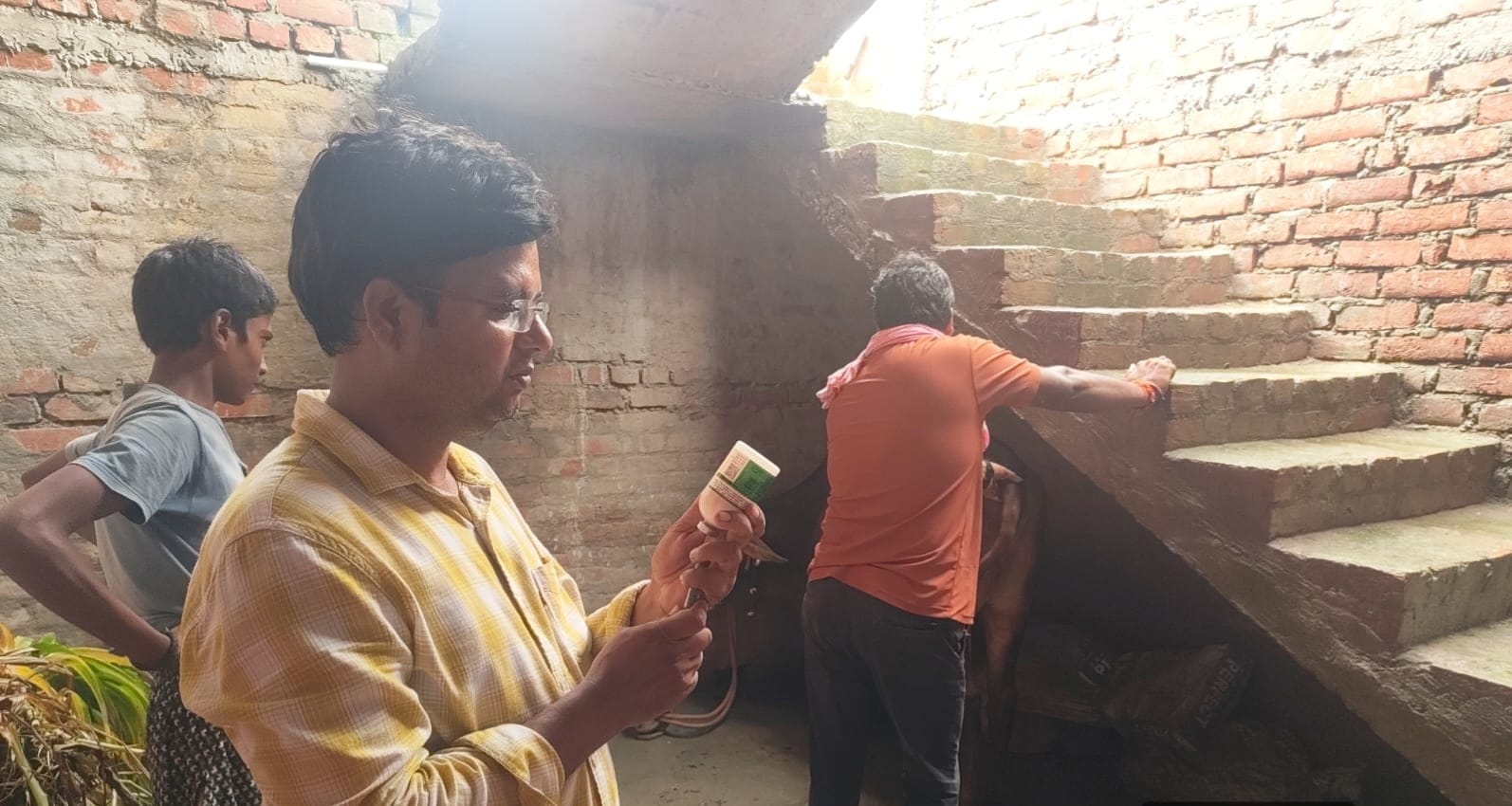मरदह गांव में मवेशी को टीका लगाते कर्मी। संवाद