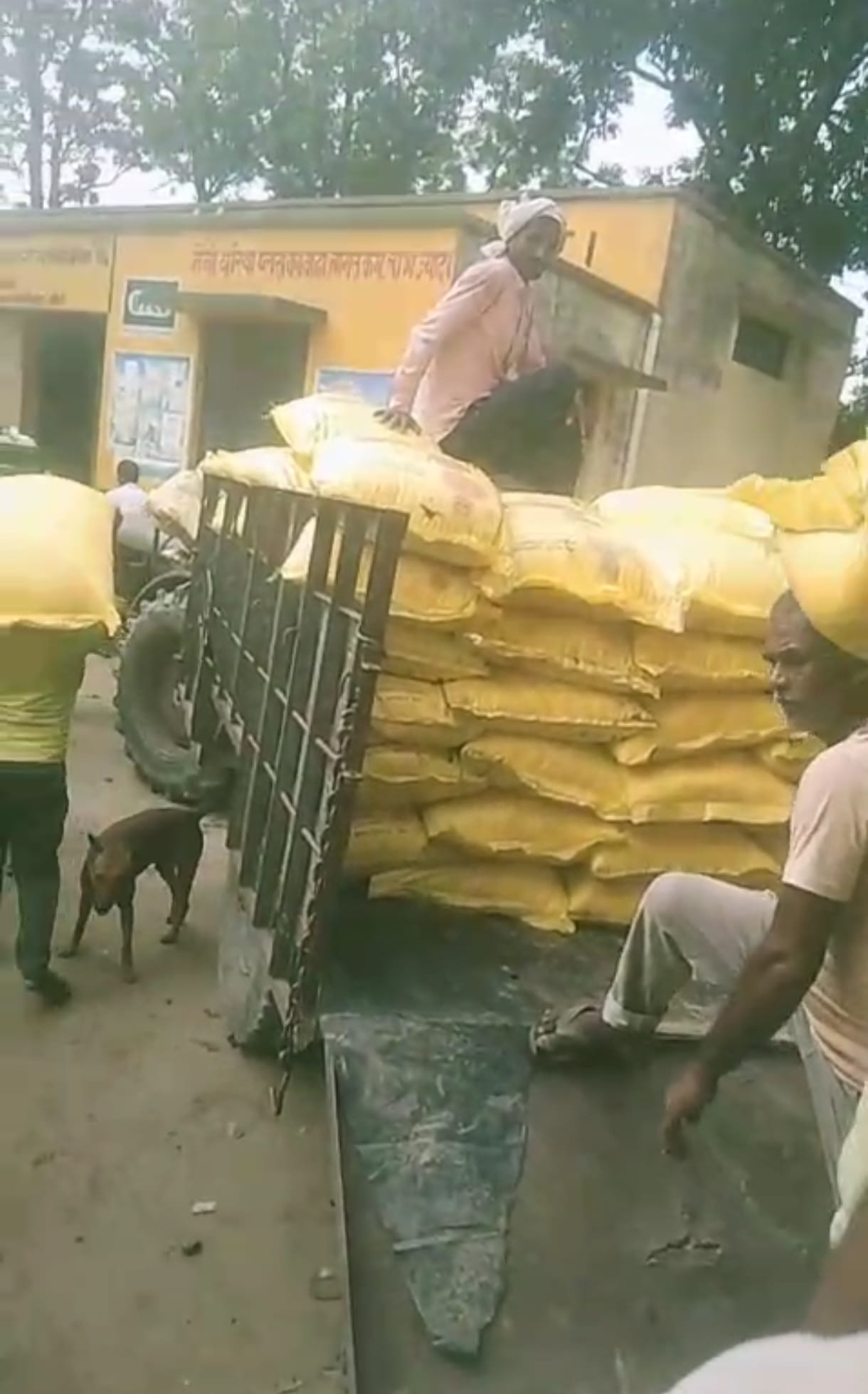 Uproar over alleged black marketing of 96 bags of urea, video goes viral
