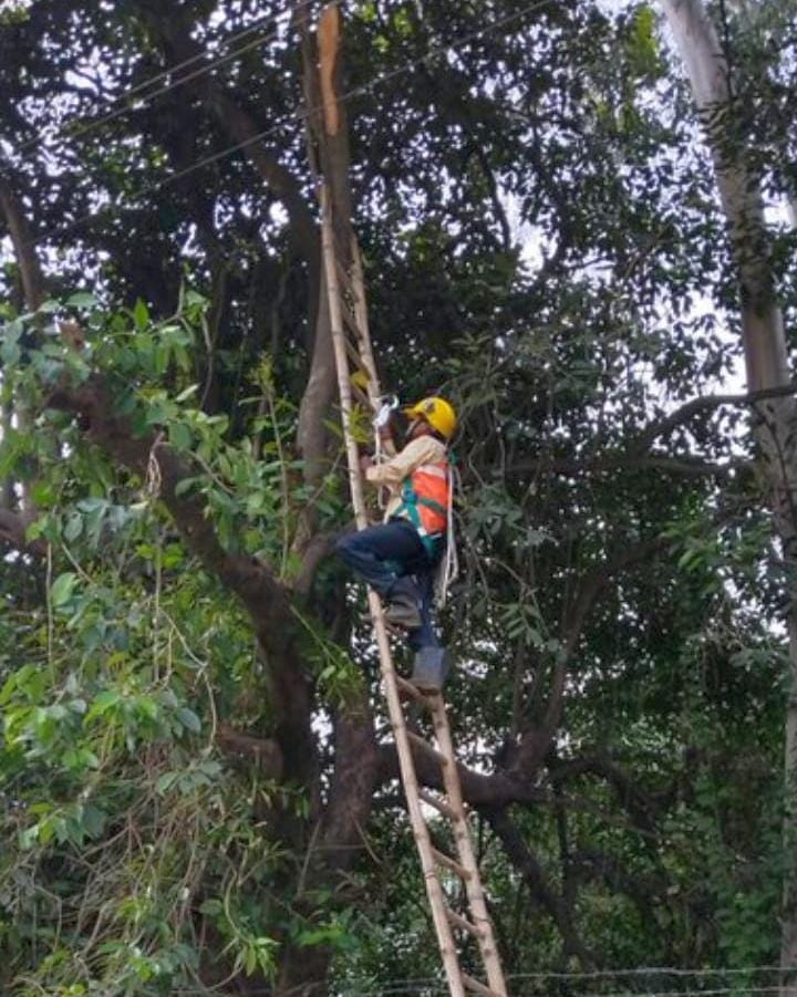 सुदामापुरी में फाल्ट खोजता बिजली कर्मी। संवाद