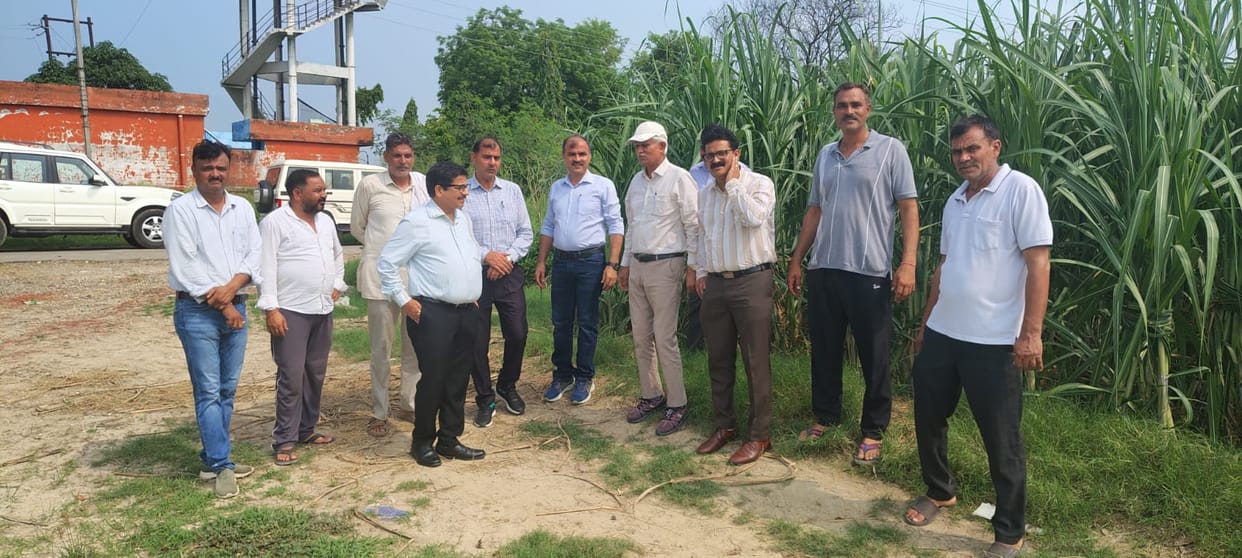 Scientists offered disease and pest control suggestions to farmers.