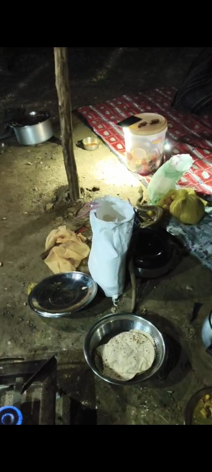 Cobra reaches camp amidst Kanwariyas.