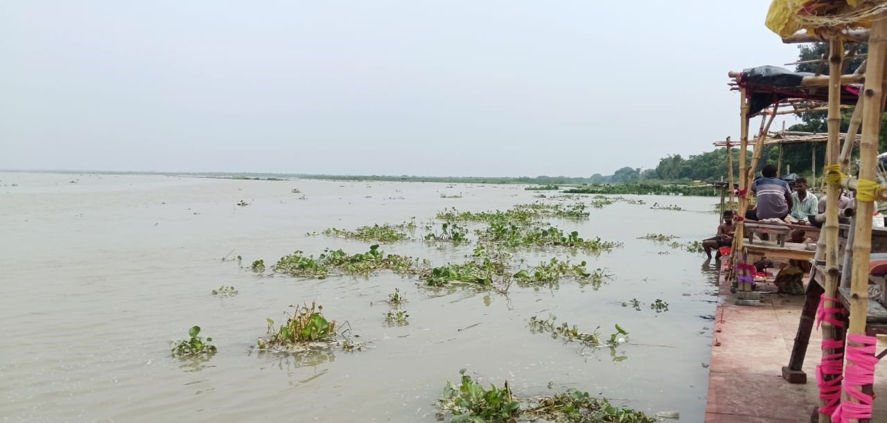 ऊंचाहार में गोकना घाट पर उफनाती गंगा। 