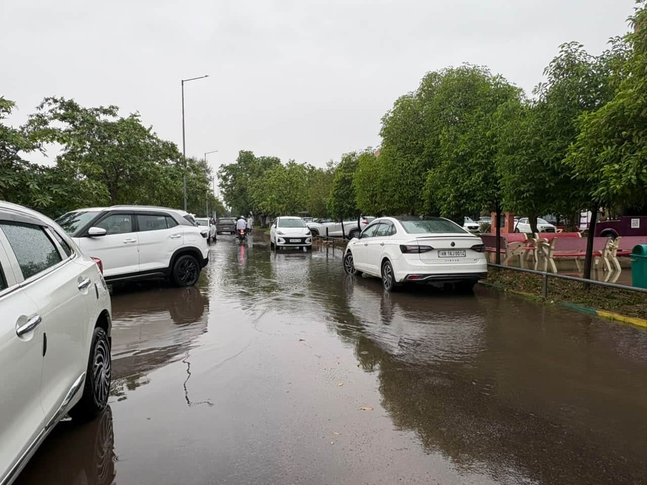18-रोहतक में मंगलवार को हुई बारिश के बाद एमडीयू में खड़े वाहन। संवाद