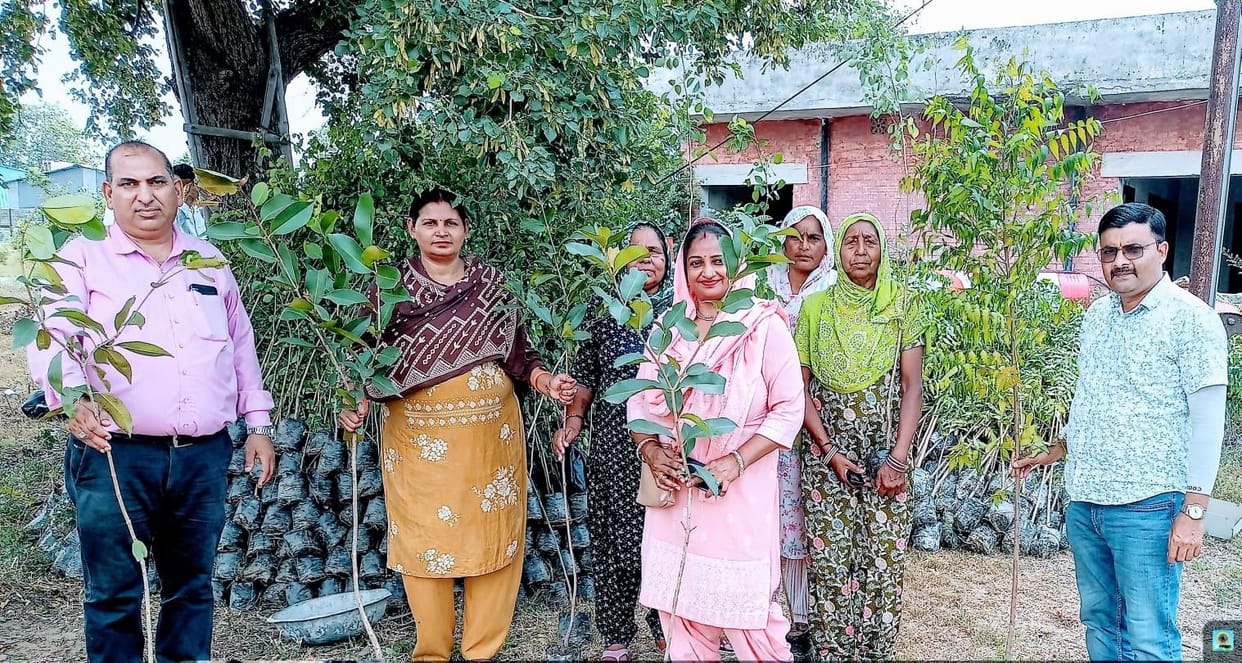 5000 saplings will be planted in the district under the campaign 'Ek Ped Maa Ke Naam'.