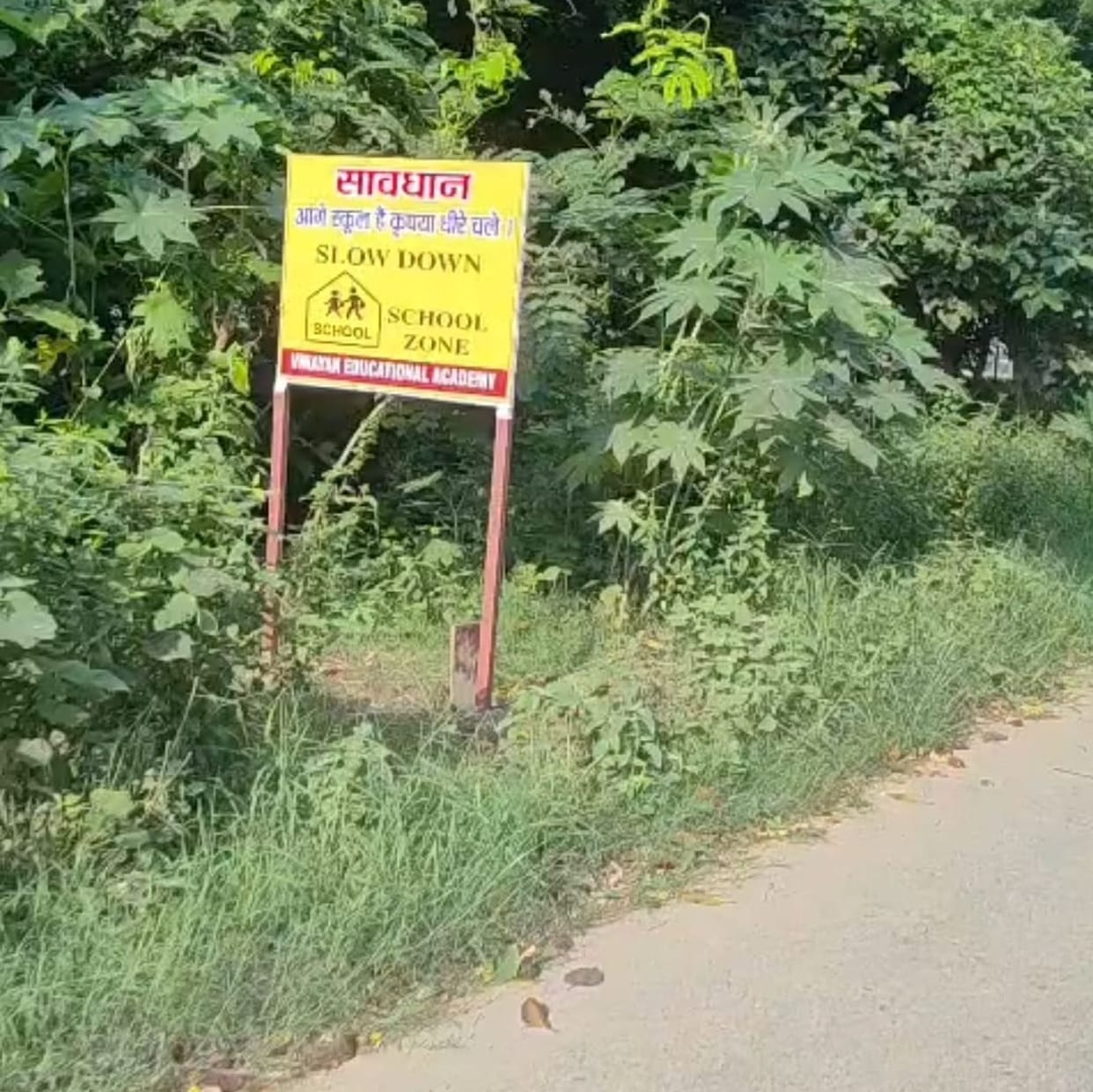 Roadside signs near 30 schools