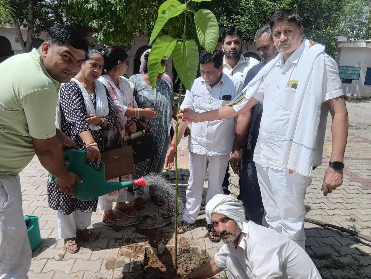 Tree plantation carried out in memory of mother.