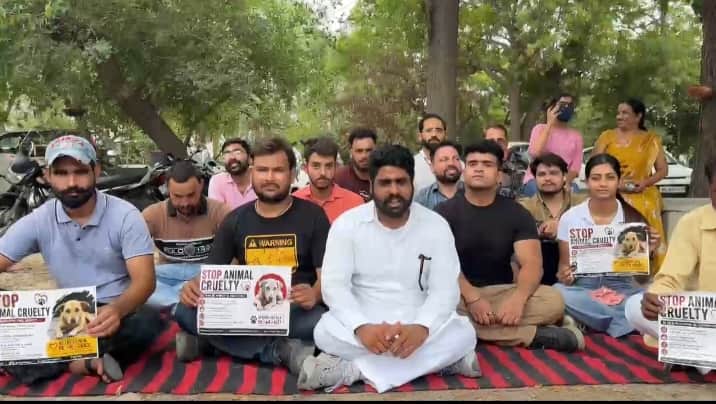 डबवाली। एसडीएम कार्यालय के बाहर बैठे पशु प्रेमी। संस्था।
