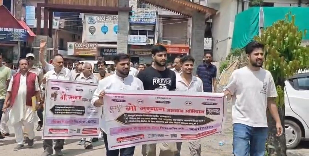 Cow devotees demanded 'Mother of the Nation' status for the cow.