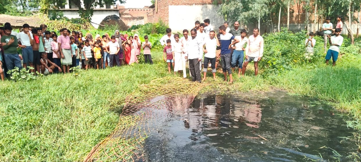 Crocodile enters enclosure and launches a deadly attack on a woman