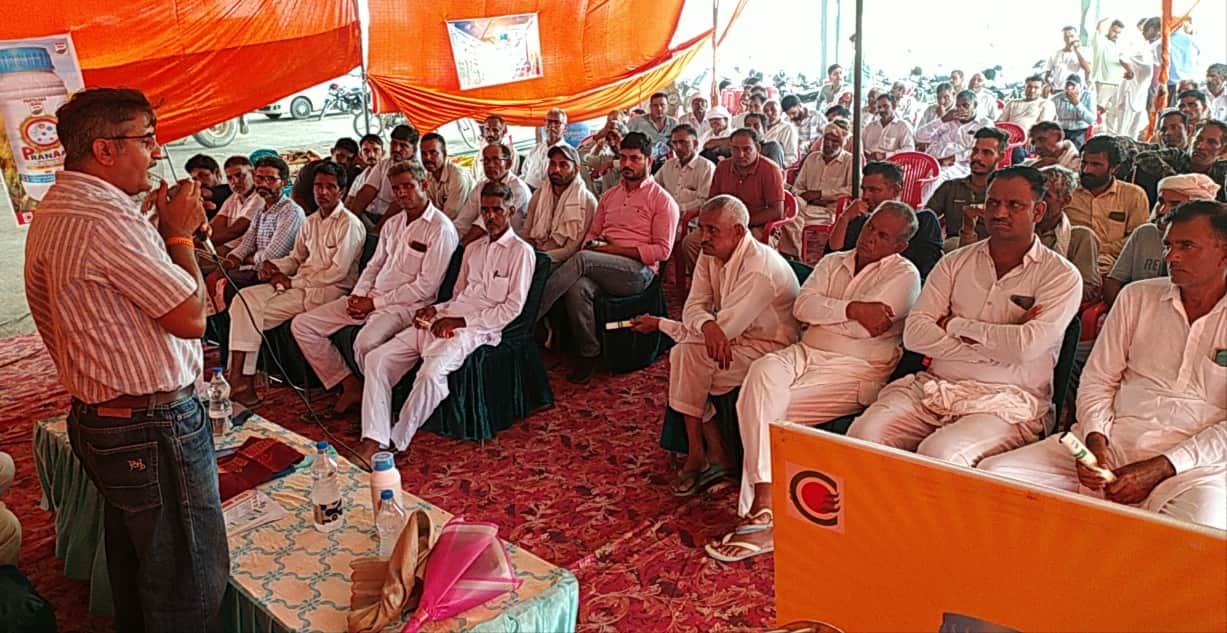किसानों को कपास की बीामरियों की रोकथाम को लेकर जानकारी देते हुए कृषि विशेषज्ञ। विभाग 