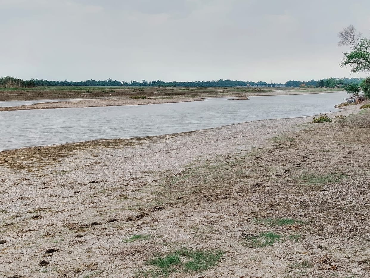 dry ghaggar
