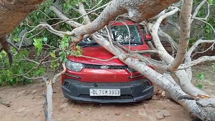 A huge peepal tree near the Shri Banke Bihari Temple collapsed.