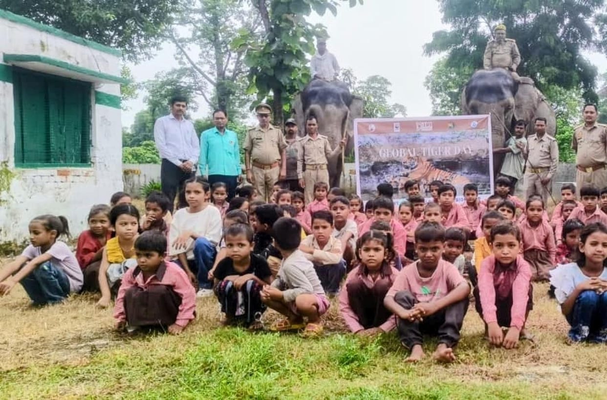 Emotions captured in colors, a message conveyed to save tigers.