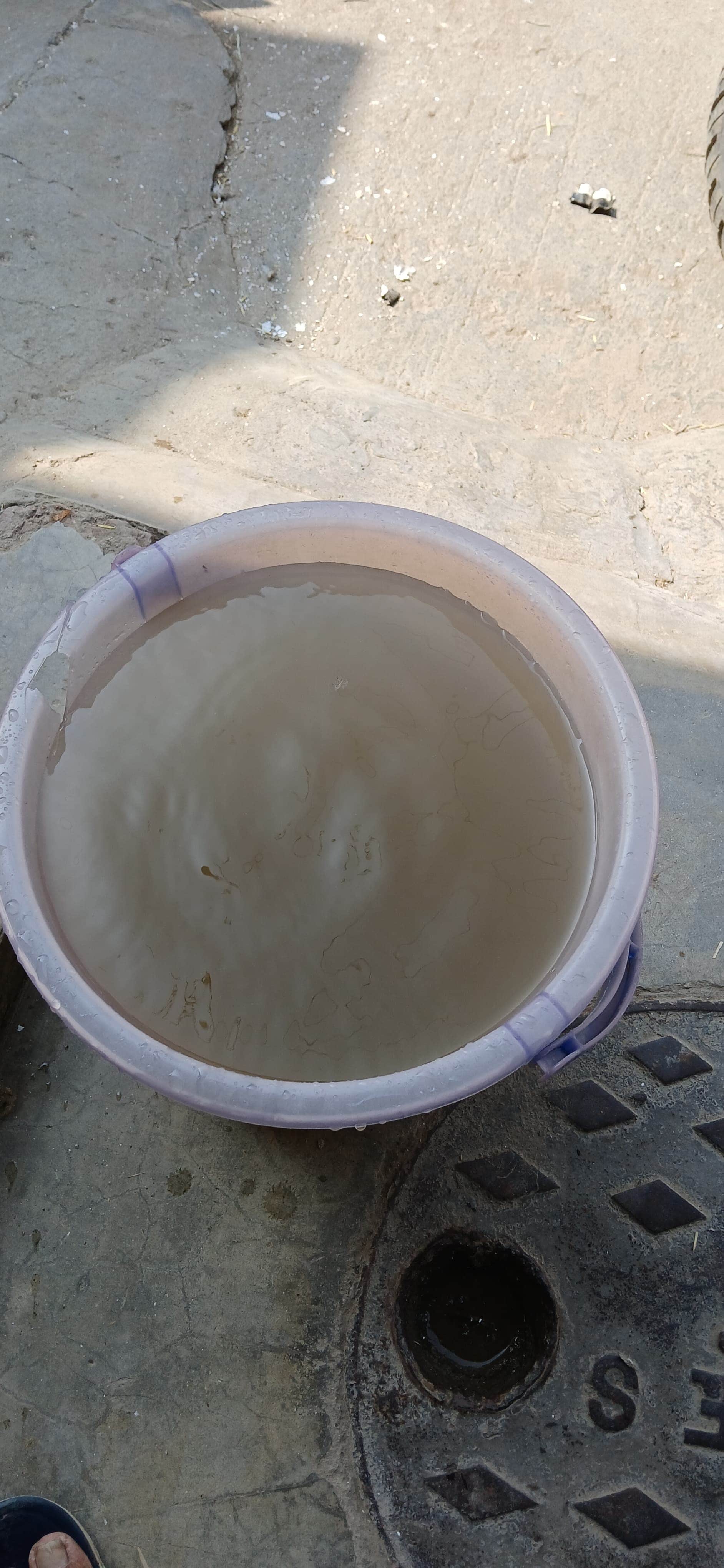 सिरसा बाल्टी में भरा दूषित पानी