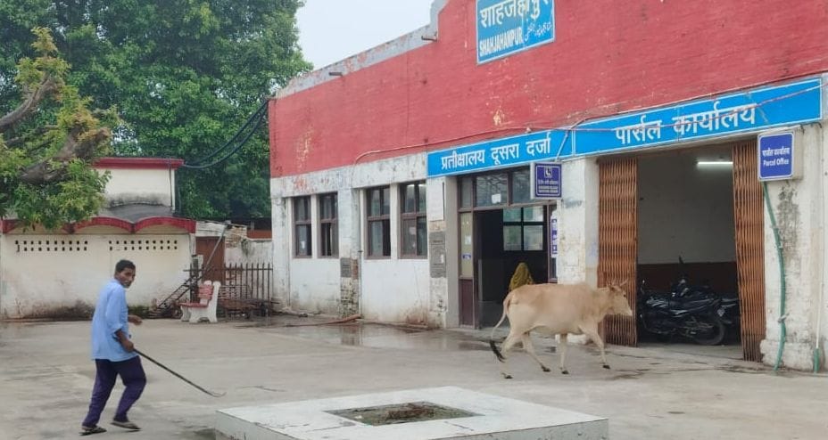 Staff deployed to prevent animals from entering the railway station.
