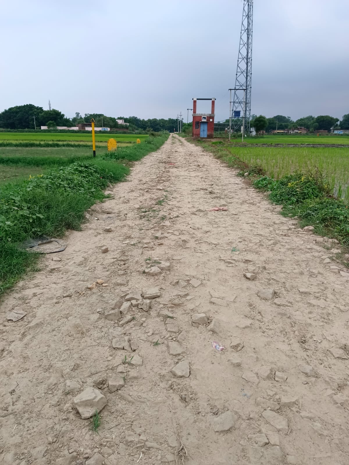Road repairs not carried out even after four years
