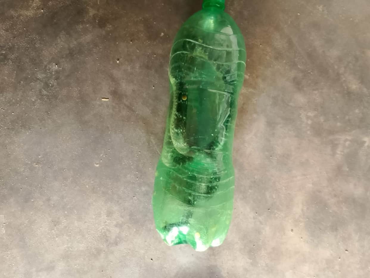 Youth who trapped the snake that bit him in a bottle and reached the medical college dies.