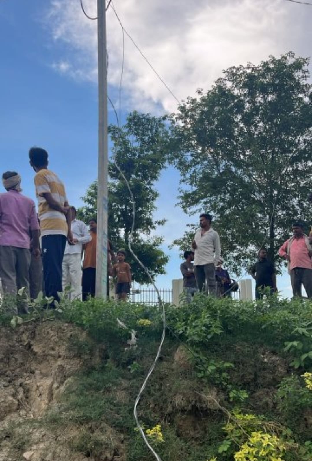 Pregnant buffalo dies after coming into contact with live electric wire