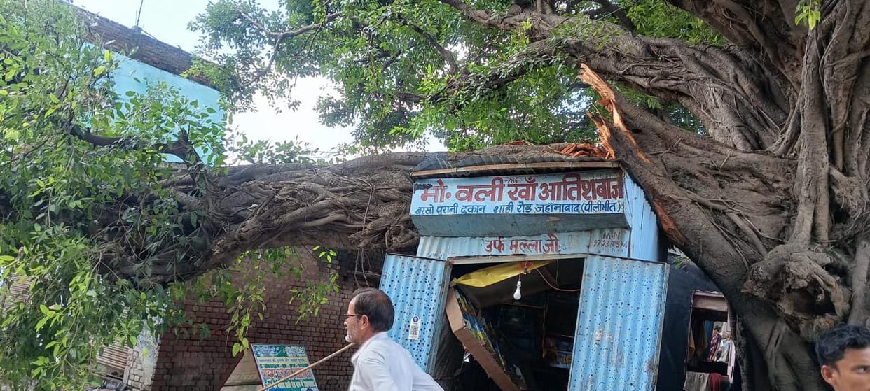 Pakad tree branch falls on main road in Jehanabad; traffic disrupted.