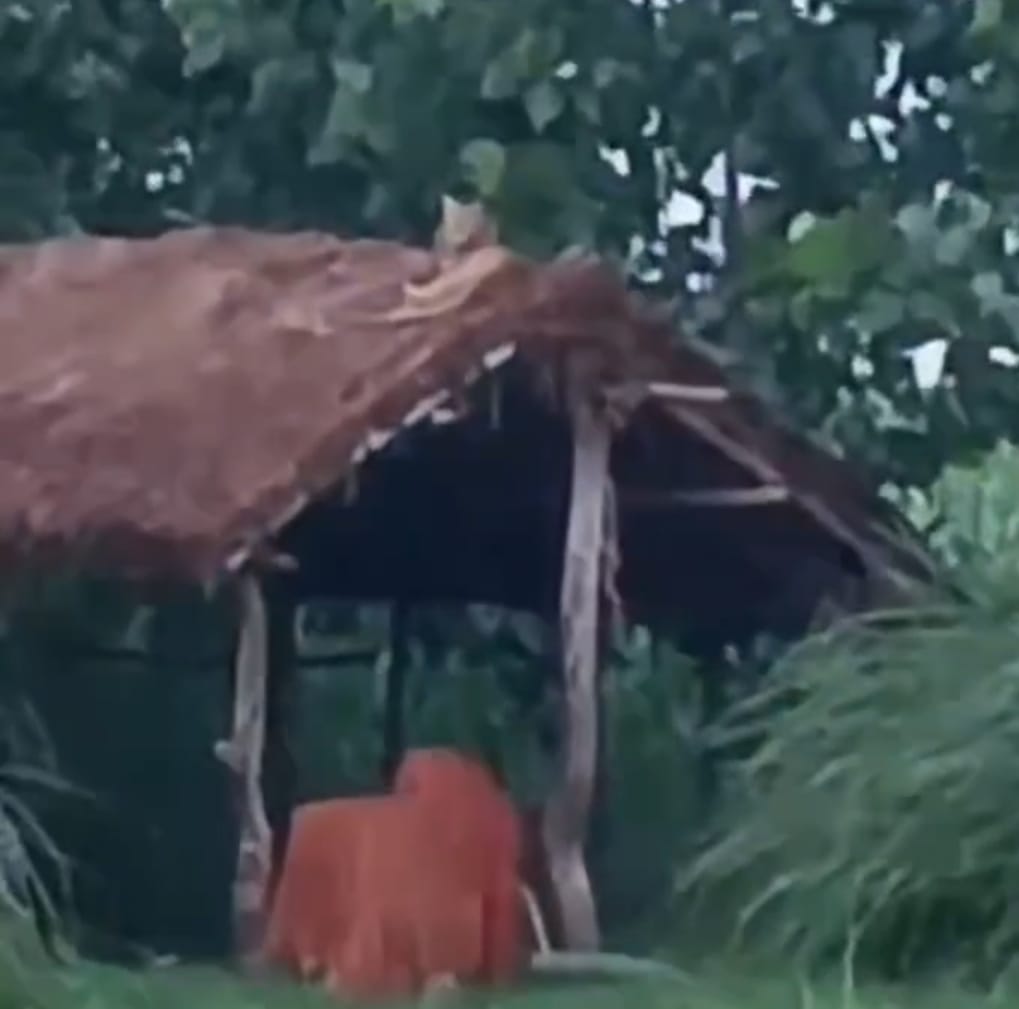 Leopard spotted at farm hut, video goes viral
