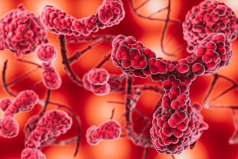 Crisis of cancer drugs in hospitals; profiteering begins in the market.