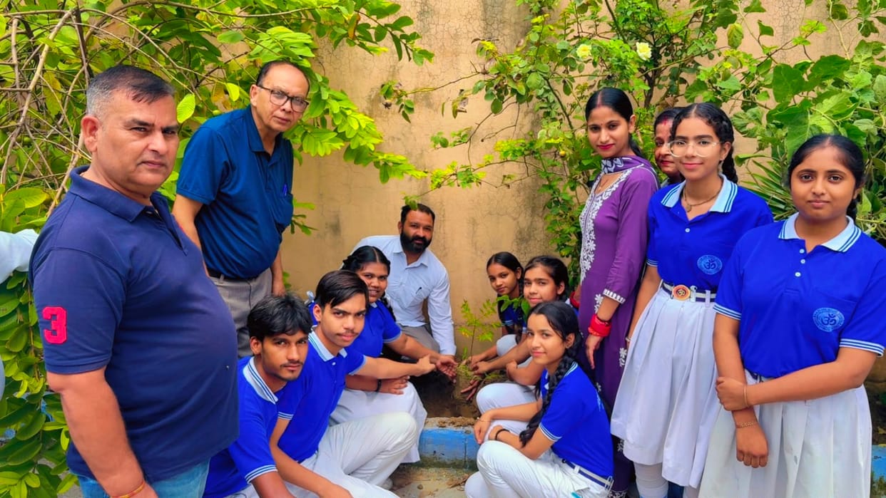 The Municipal Corporation will plant 2,700 saplings to increase greenery