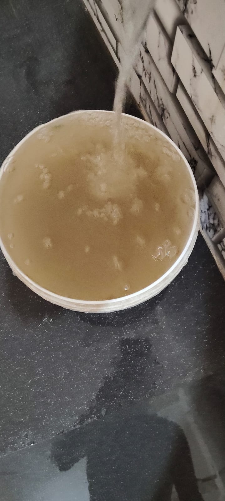 Silt-laden water reached the Mayor's colony.