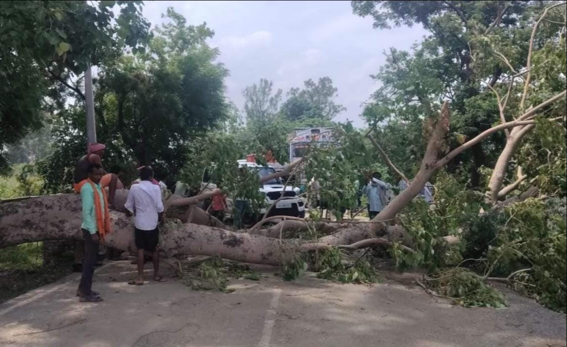 Tree falls on road; traffic disrupted for 10 hours.