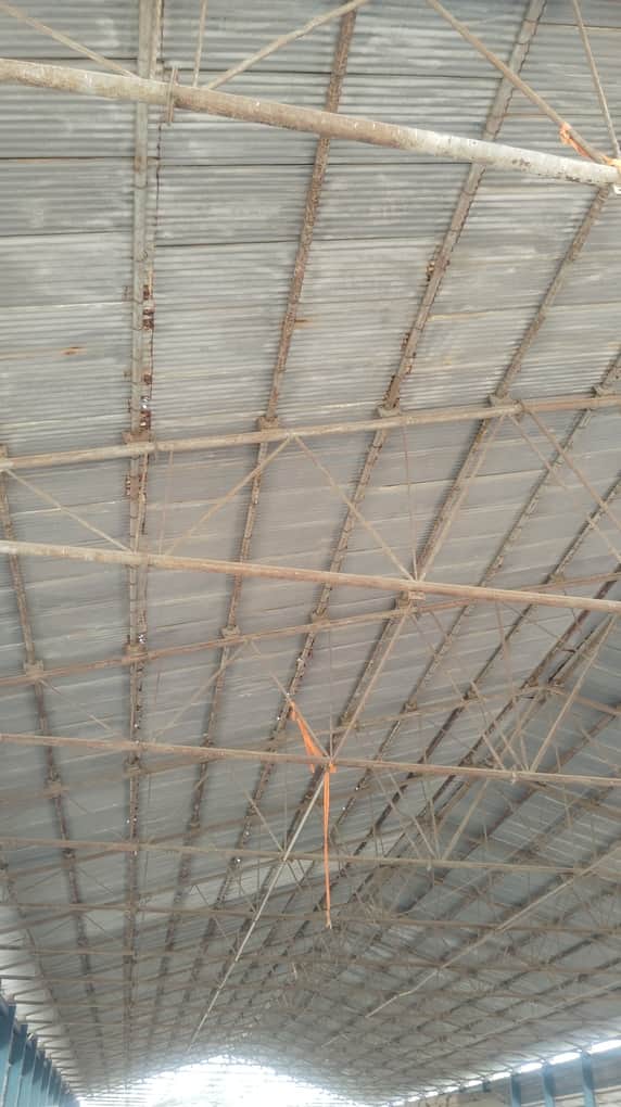 Roof of the farmers' shed in the new grain market is dilapidated.