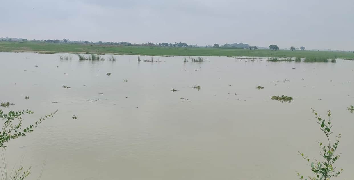 Two days later, the Ramganga swelled again, and water levels began to rise in its tributaries.
