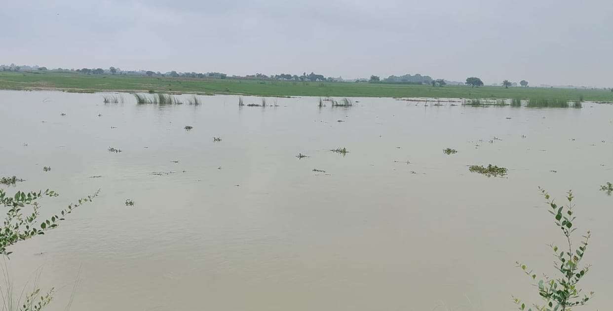 Two days later, the Ramganga swelled again, and water levels began to rise in its tributaries.