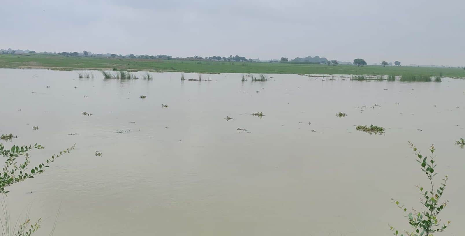 फोटो 22: तेरा पुरसौली के पास रामगंगा में बाढ़ का पानी। संवाद