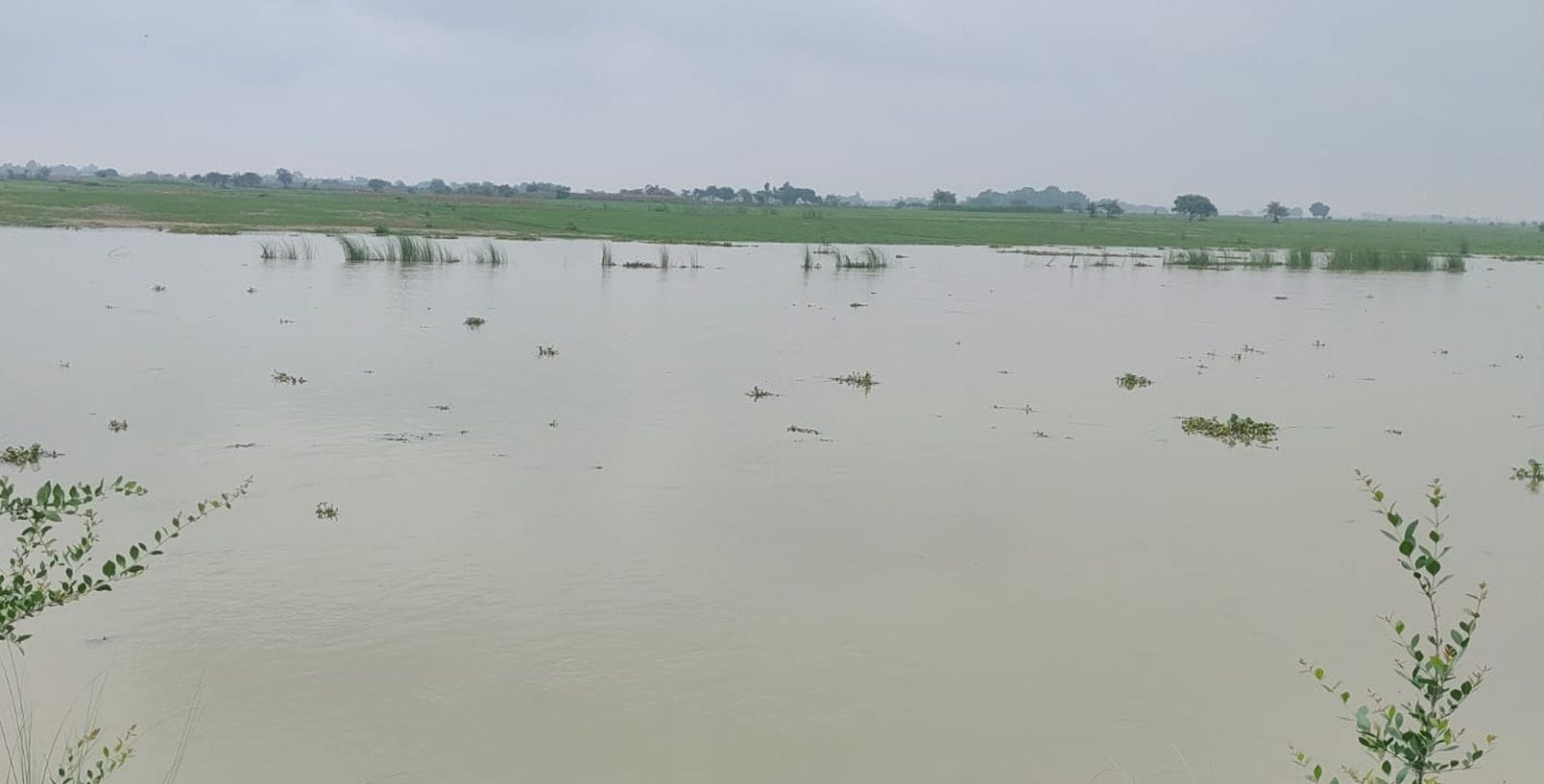 फोटो 22: तेरा पुरसौली के पास रामगंगा में बाढ़ का पानी। संवाद