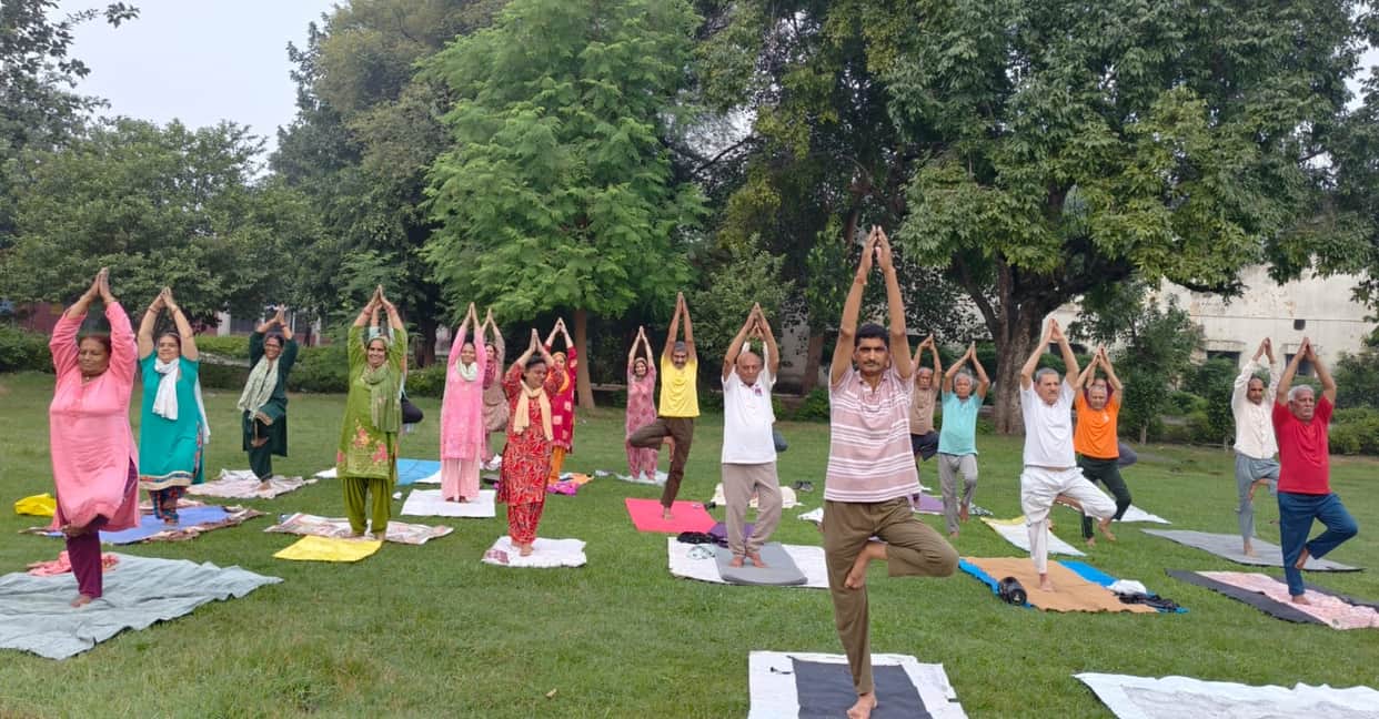 Paid respect to the mentors alongside the yoga practice.