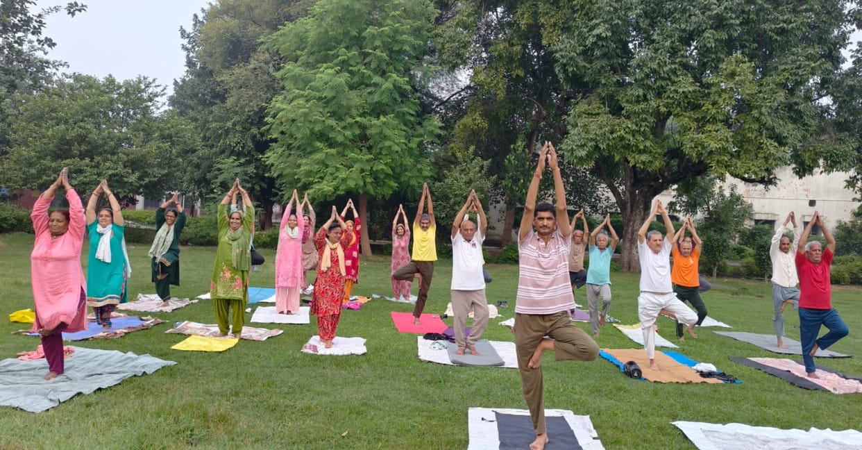 Paid respect to the mentors alongside the yoga practice.