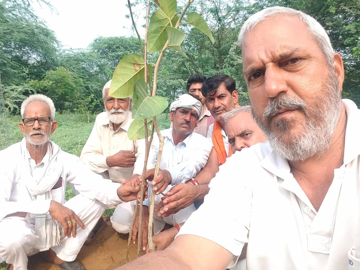 At least two plants must be planted: Krishna Kumar