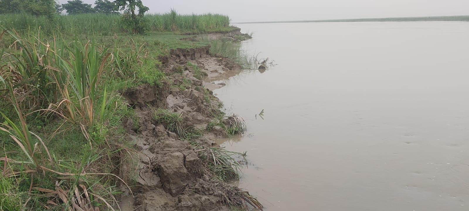 नवाबगंज के बाड़ी माझा में कटान करती सरयू नदी और इसी क्षेत्र में कटान से नदी में समाता खेत। - सं