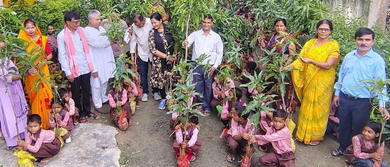 Mango saplings distributed at the school in memory of ancestors