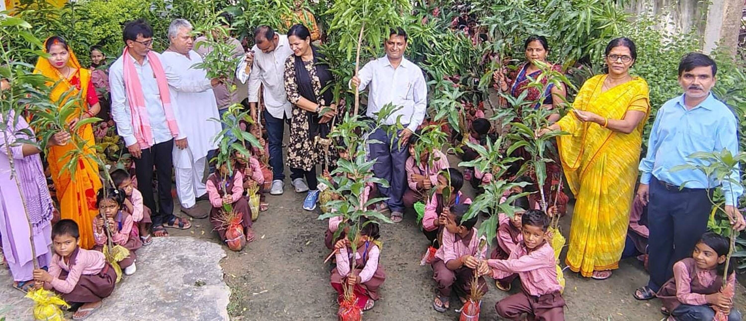 प्राथमिक विद्यालय लंभुआ प्रथम में वितरित किया गया आम का पौधा। स्रोत- विद्यालय