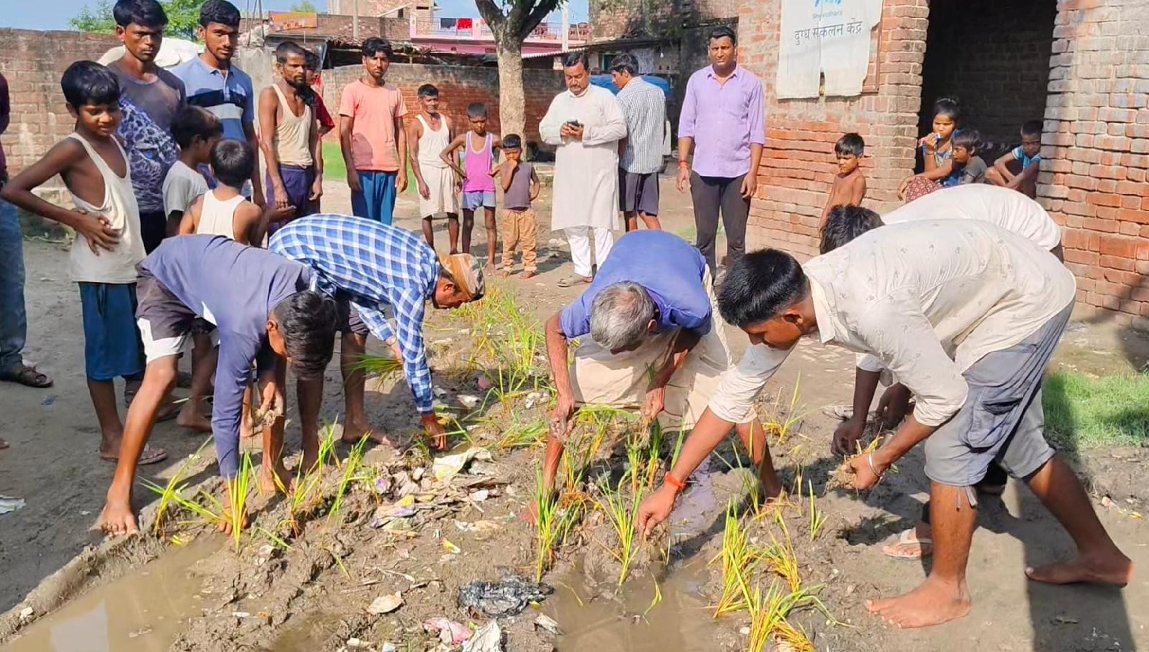 सड़क पर धान की रोपाई कर प्रदर्शन करते ग्रामीण।