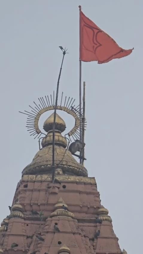 श्रावण के पहले दिन महाकाल के शिखर पर हनुमान जी के दर्शन