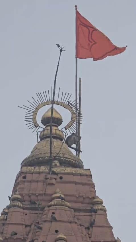 श्रावण के पहले दिन महाकाल के शिखर पर हनुमान जी के दर्शन