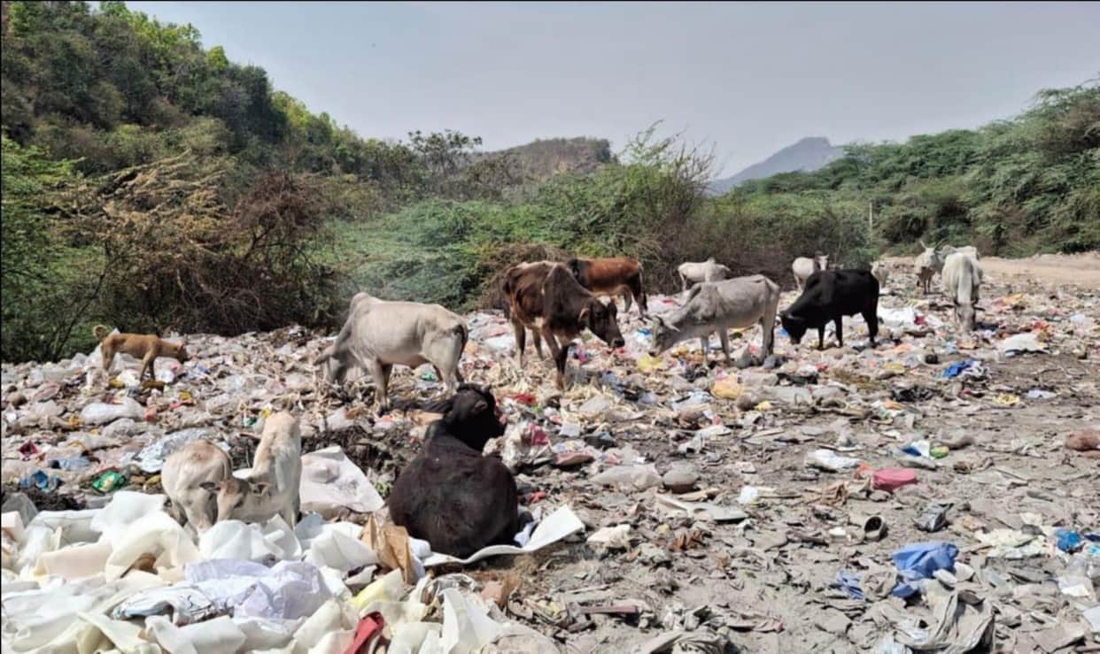 Budget exhausted, garbage remains uncleared, MRF centers reduced to showpieces