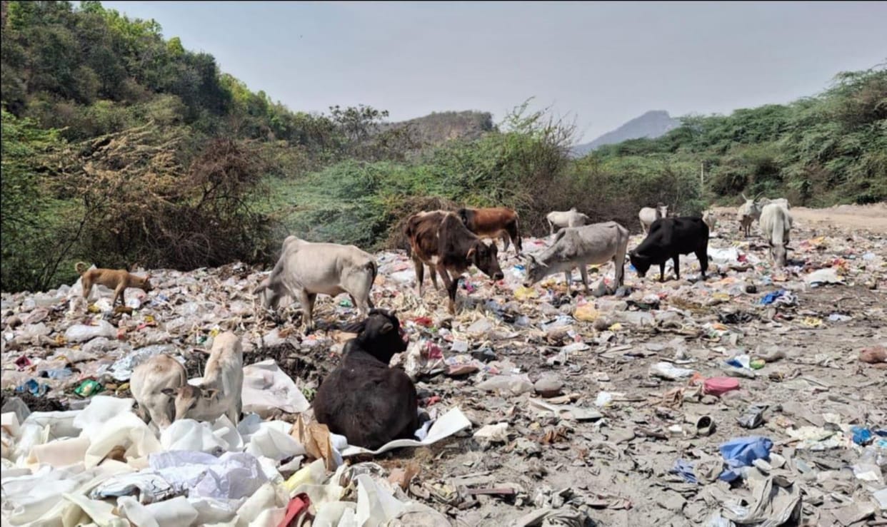Budget exhausted, garbage remains uncleared, MRF centers reduced to showpieces