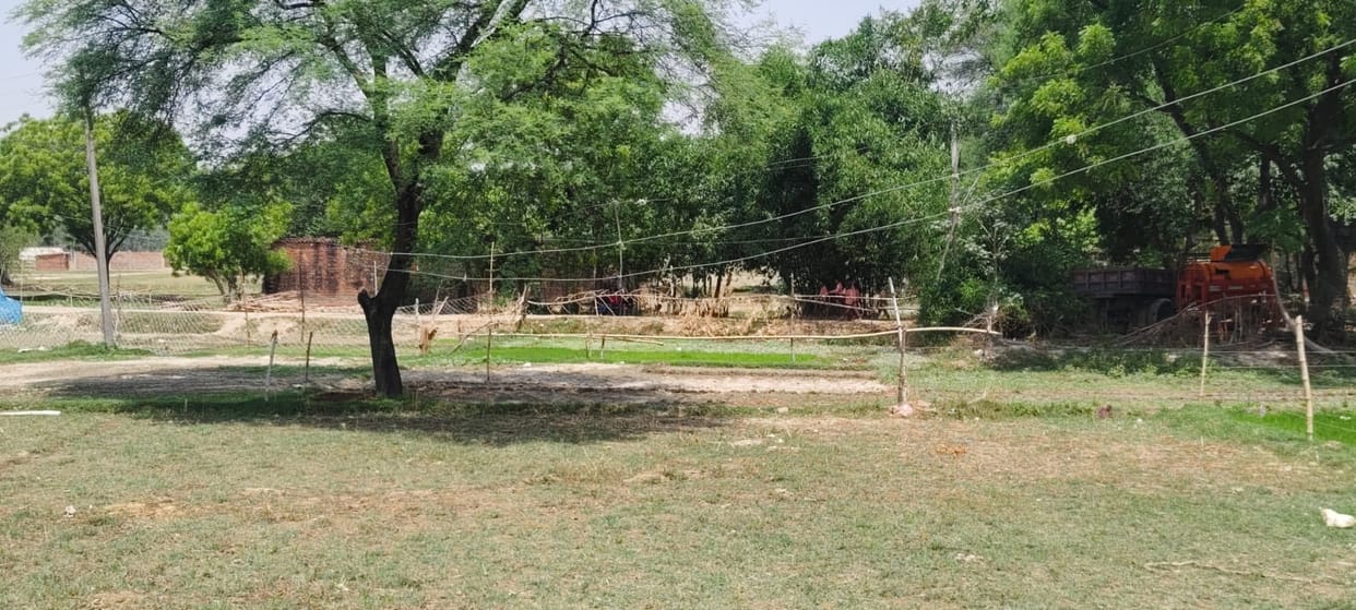 Fear of Accident: Farmers Cultivating Crops Beneath High-Tension Wires