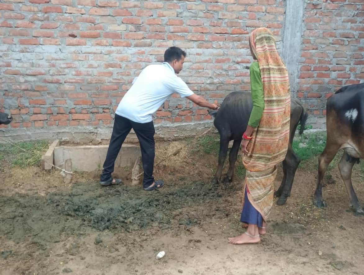 Vaccination drive sluggish; 3.68 lakh animals yet to be vaccinated.