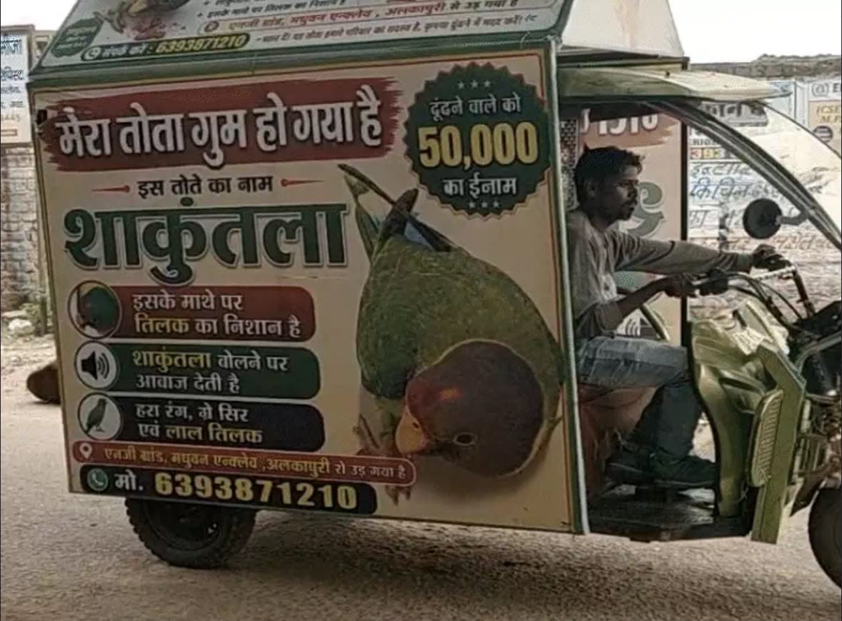 ग्वालियर में तोते के बिछड़ने से परिवार की आंखें नम