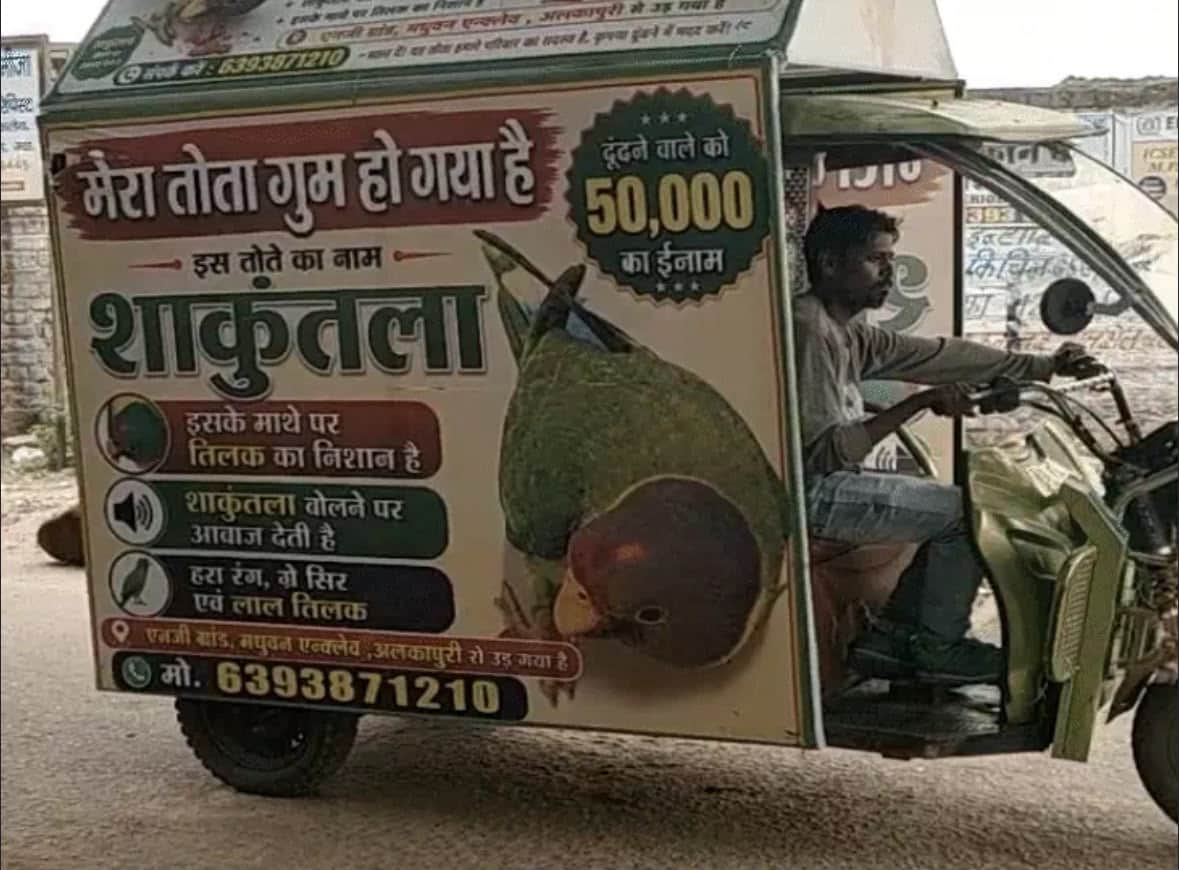 ग्वालियर में तोते के बिछड़ने से परिवार की आंखें नम