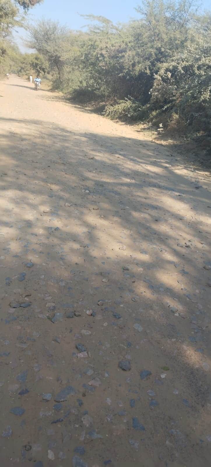 हिसार की सड़क
