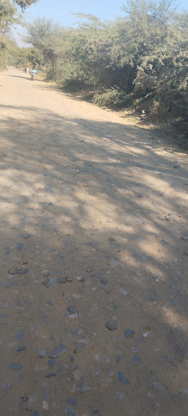 हिसार की सड़क